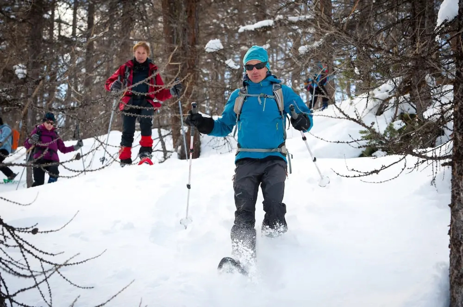 Chalet La Vie Sauvage