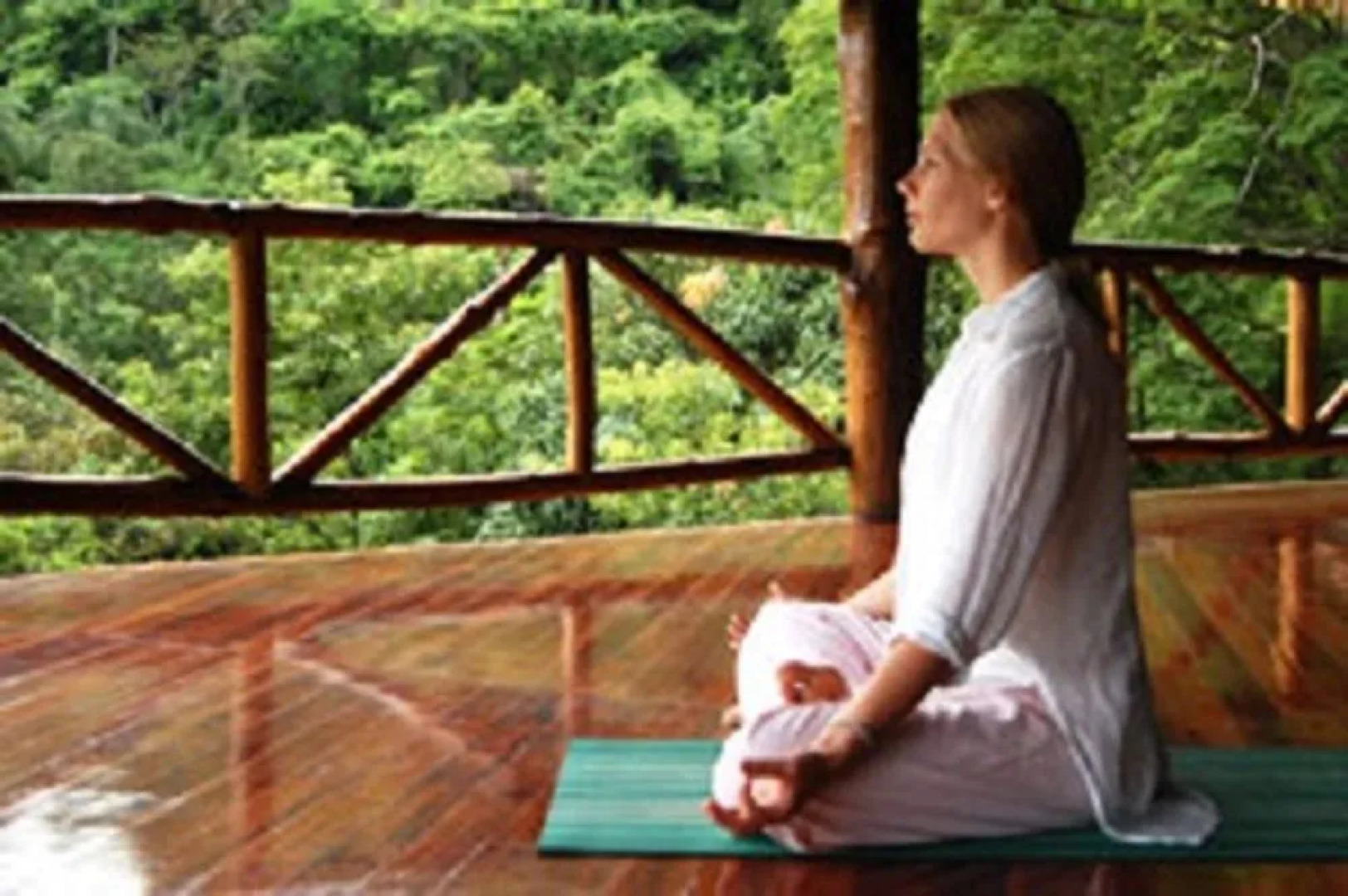 Amatierra Retreat and Wellness Center