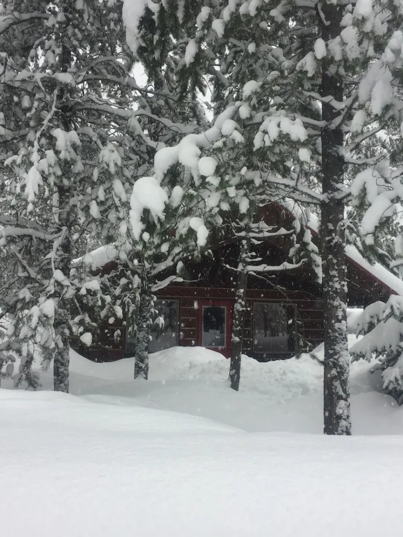 The Reclusive Moose Cabins