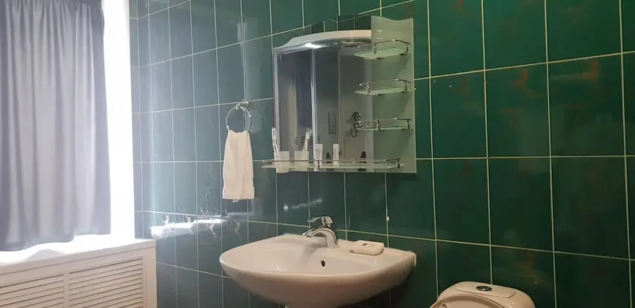 Отель Altyn-Adam