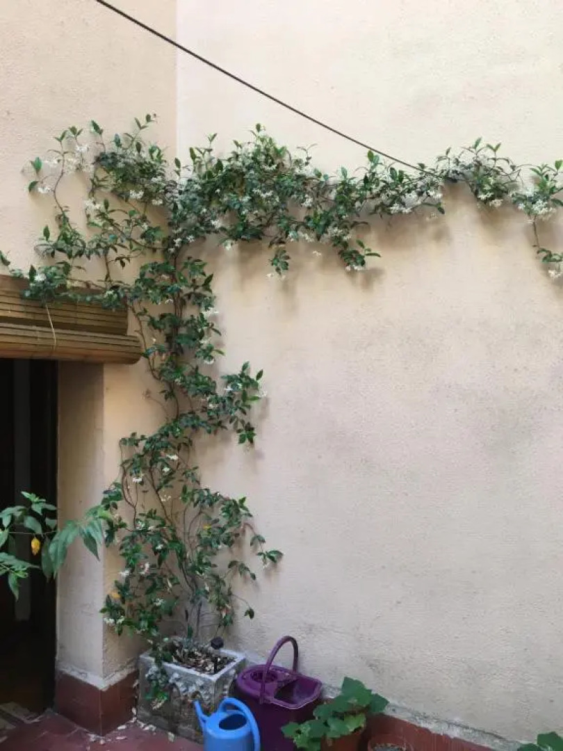 Avila Flats Soterraña "Plaza del Rastro"