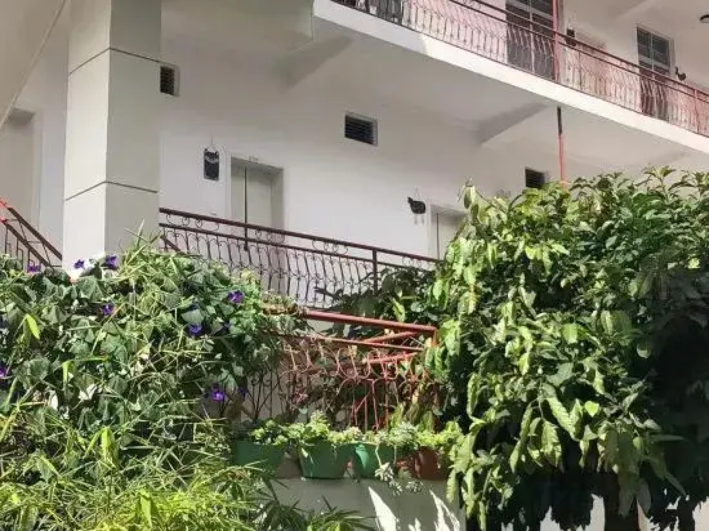 Weishan Longxi  HOTEL