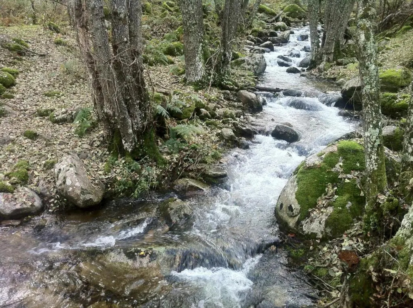 Apartamento Abuela Benita