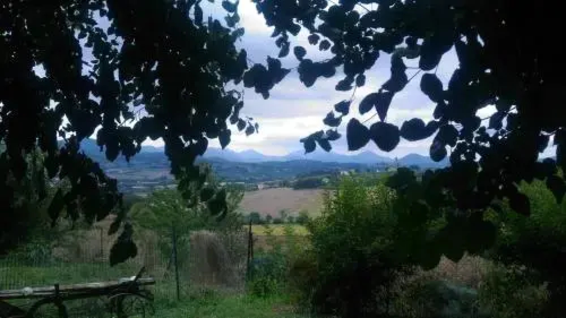 Anthoria B&B-Monolocale