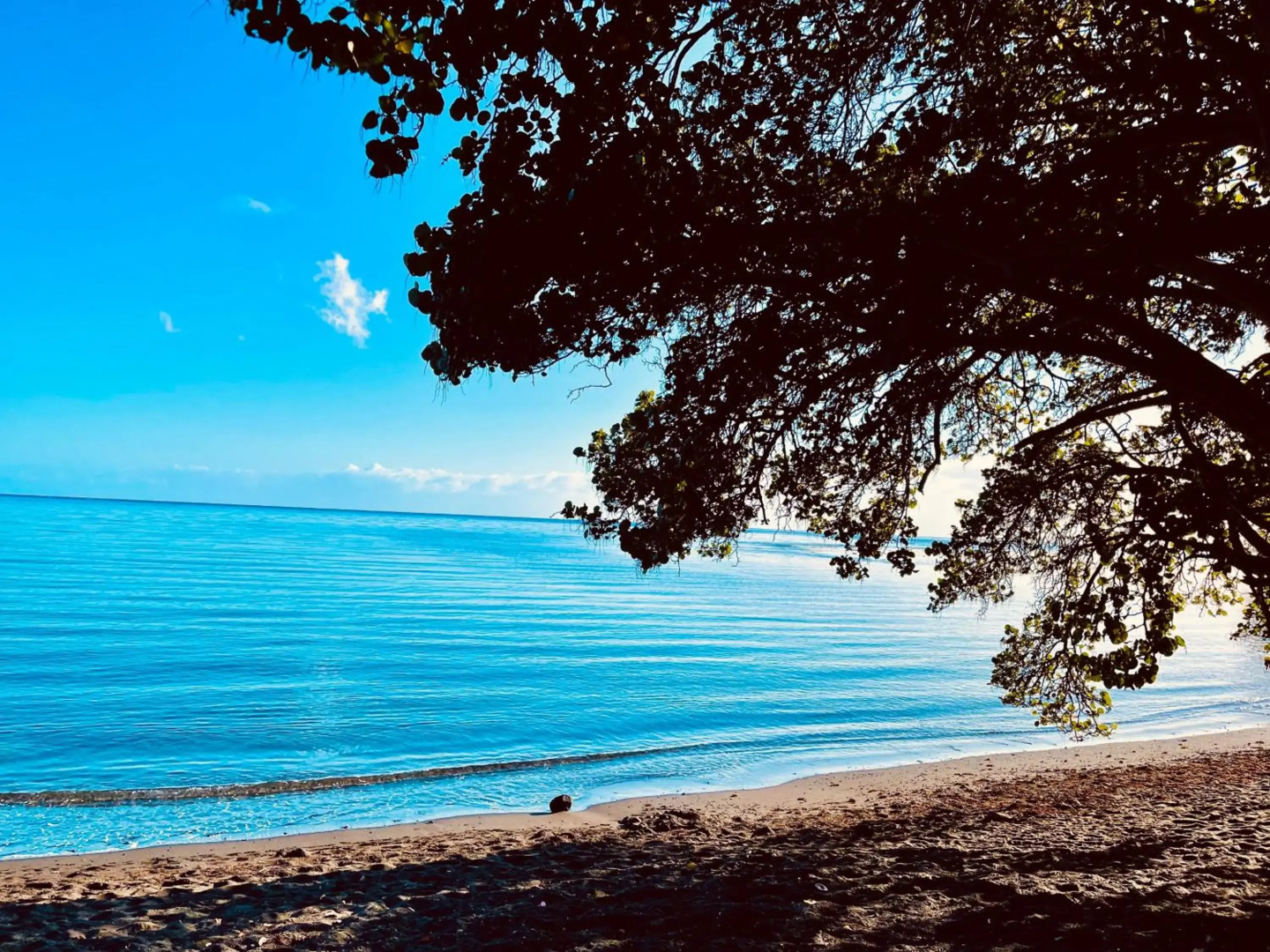 Tahiti beach house
