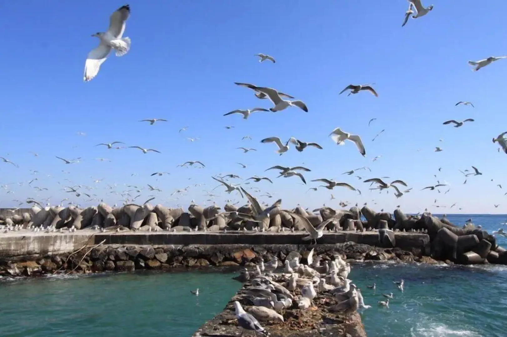 Blue Road Town Pension-Crystal