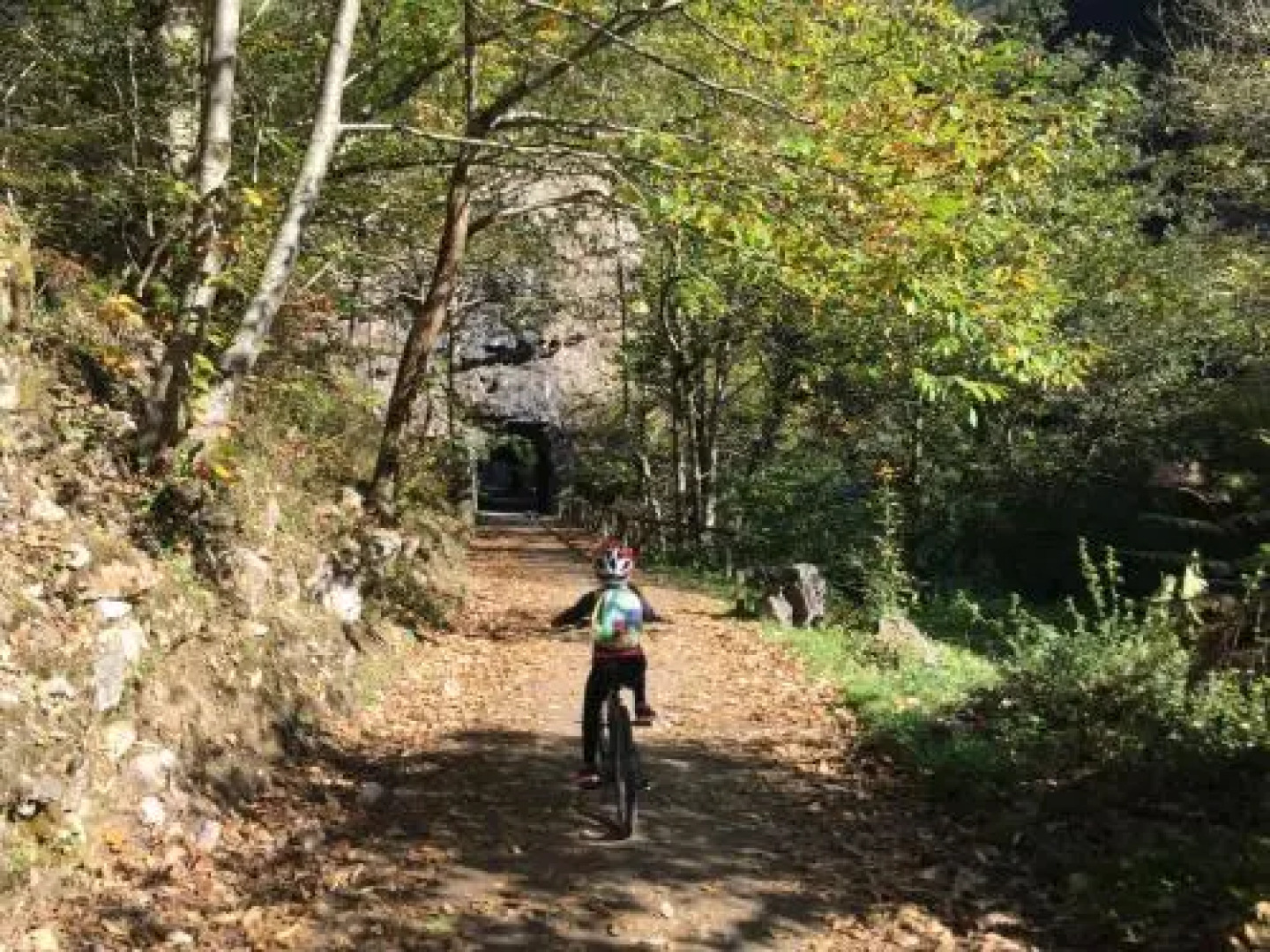 La Casona de Don Santos