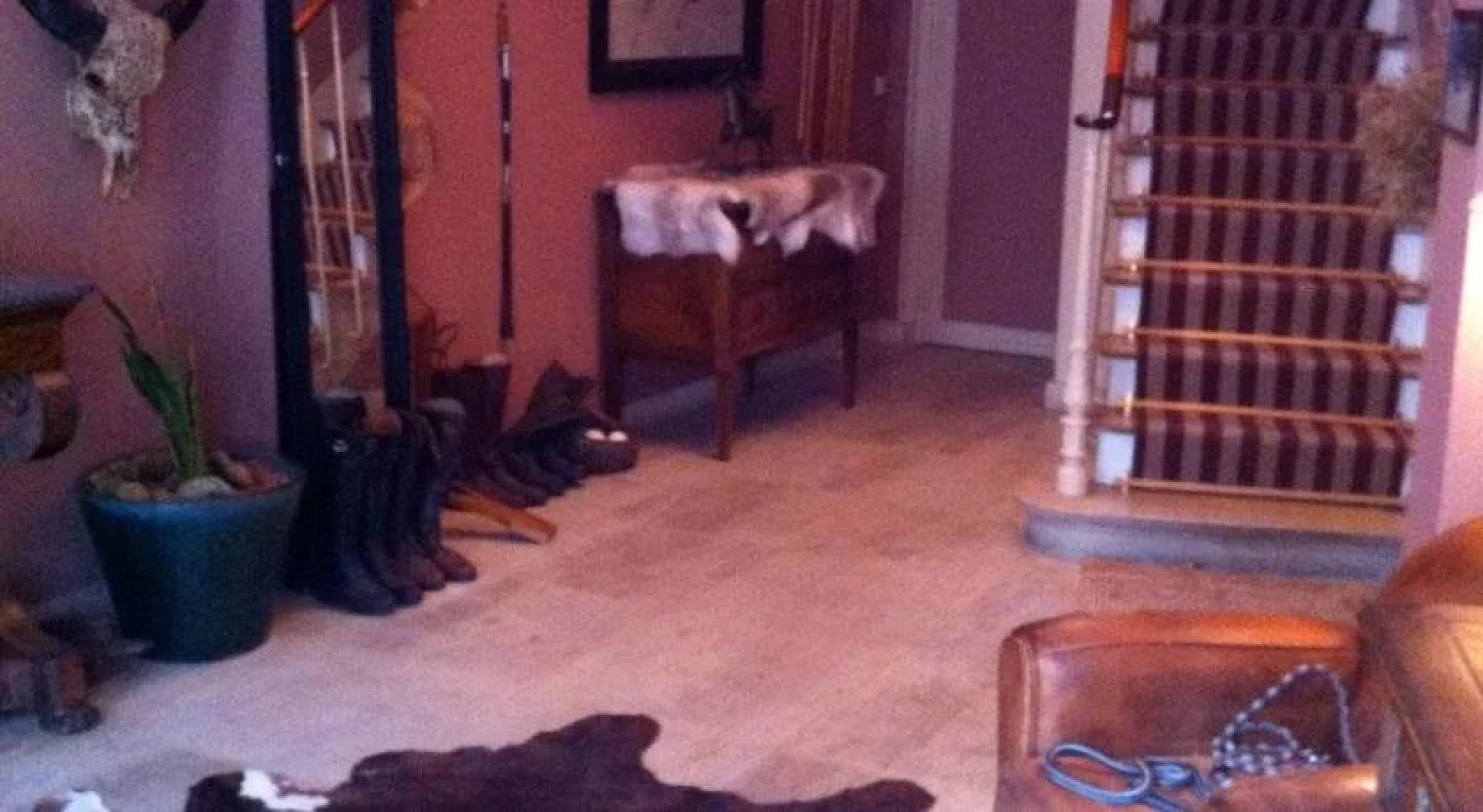 Chambres dHôtes dans Hôtel Particulier