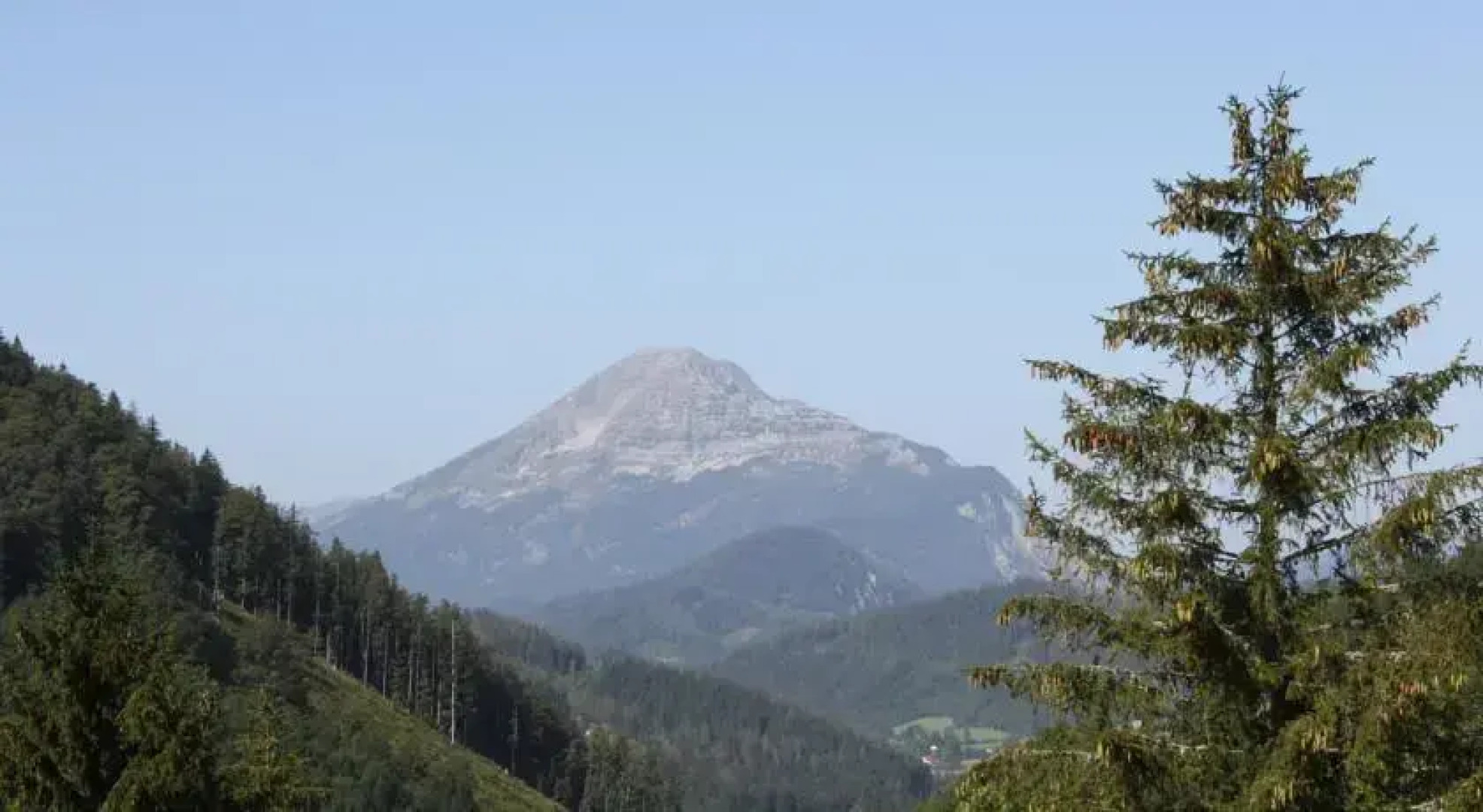 Gasthof & Appartementhaus Meyer