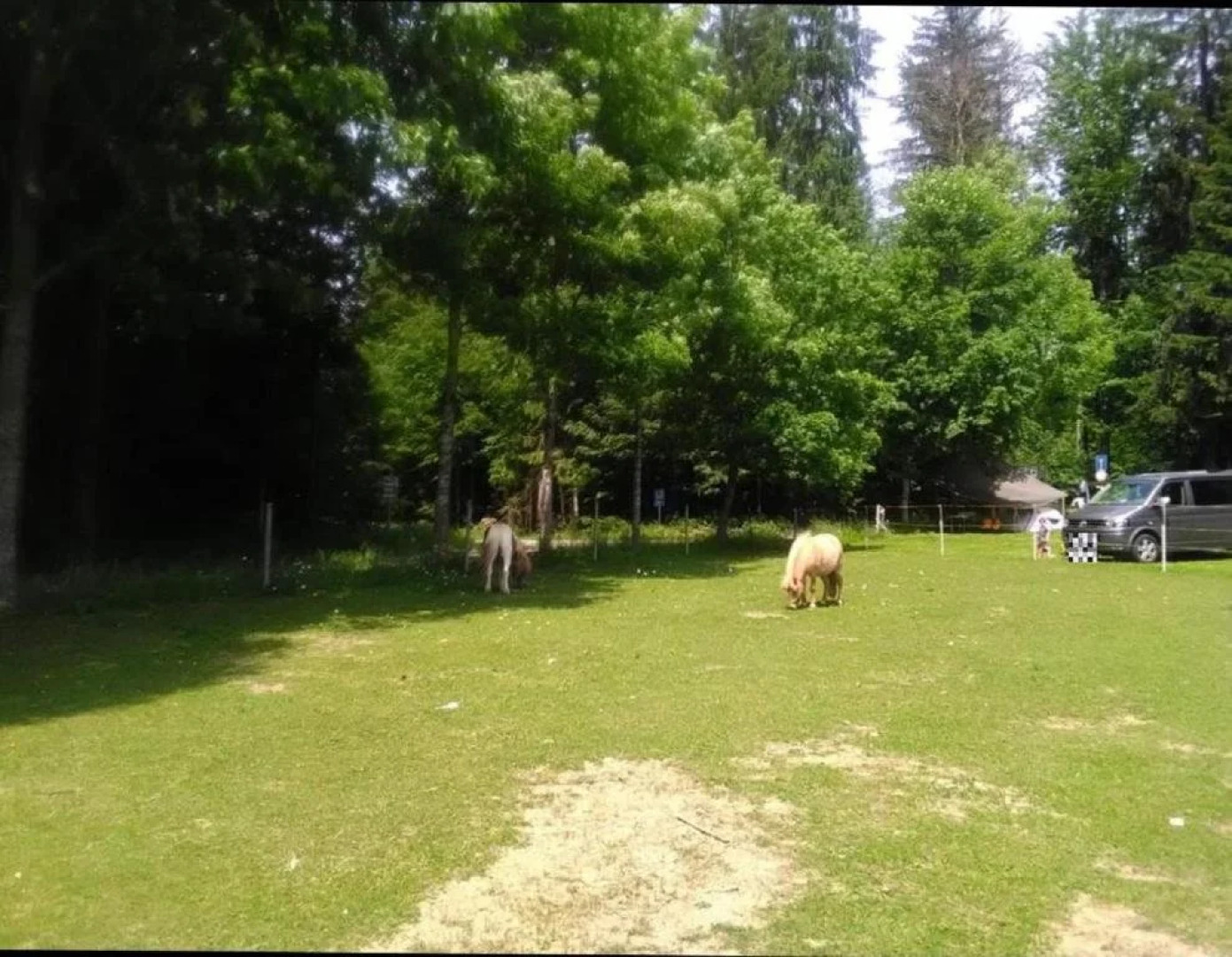 Feriengut Zum Frsten