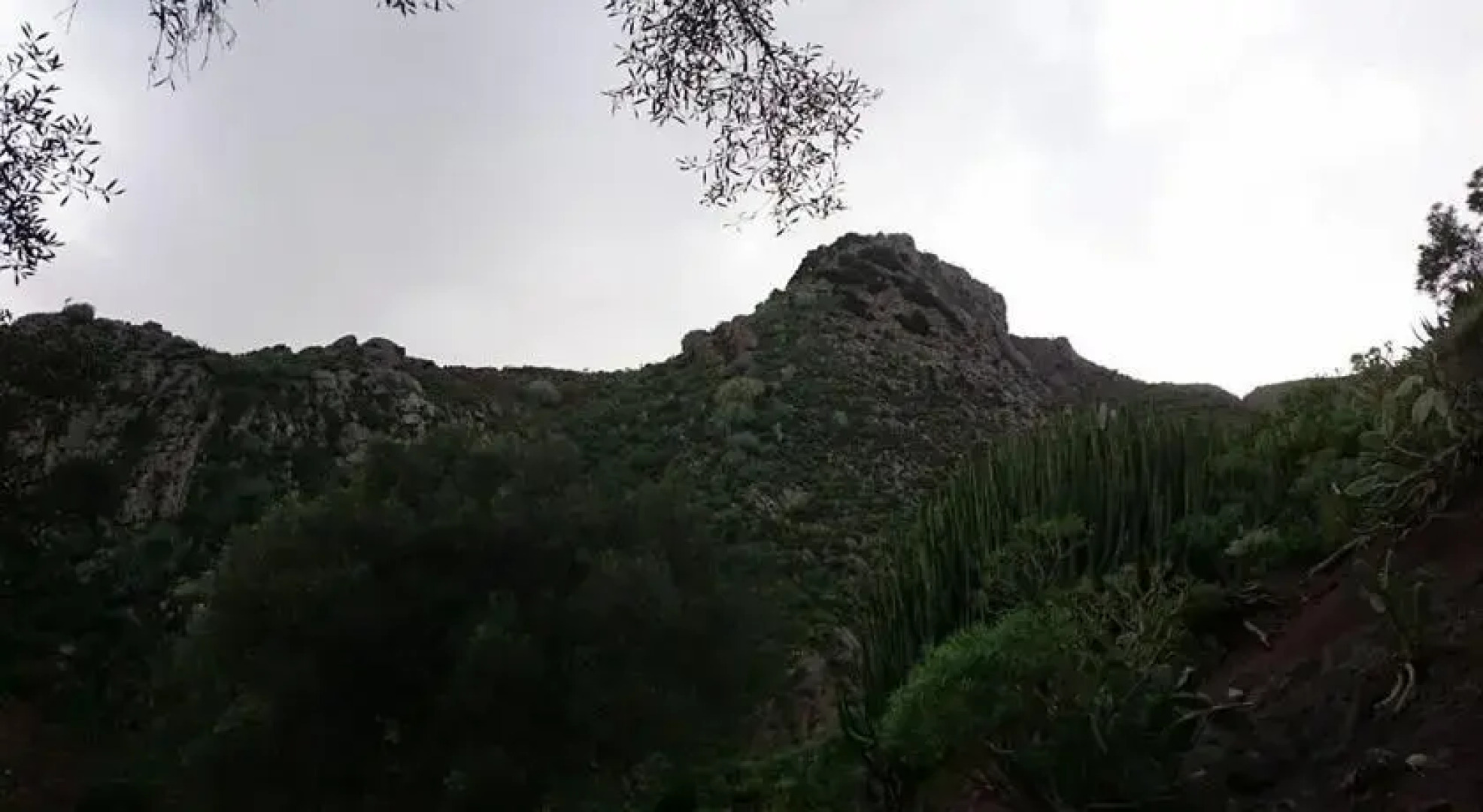 Casa campo y Playa Taganana