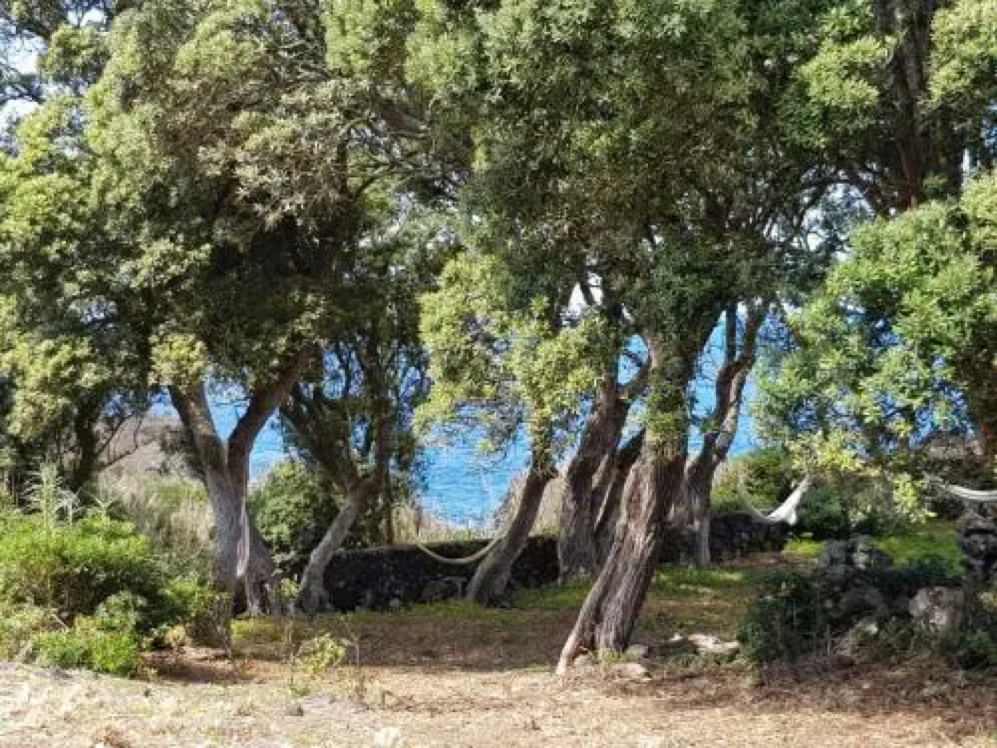 Quinta da Falesia - Casa Branca