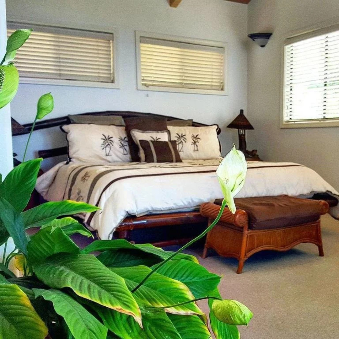 Hale Hualalai B&B