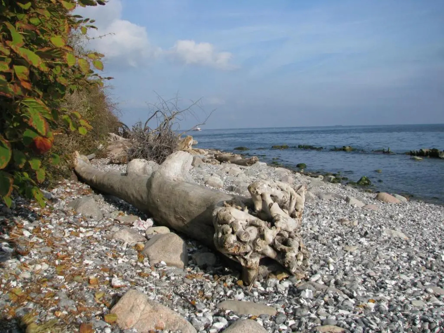 Ferienwohnung 2 bei Familie Saupe
