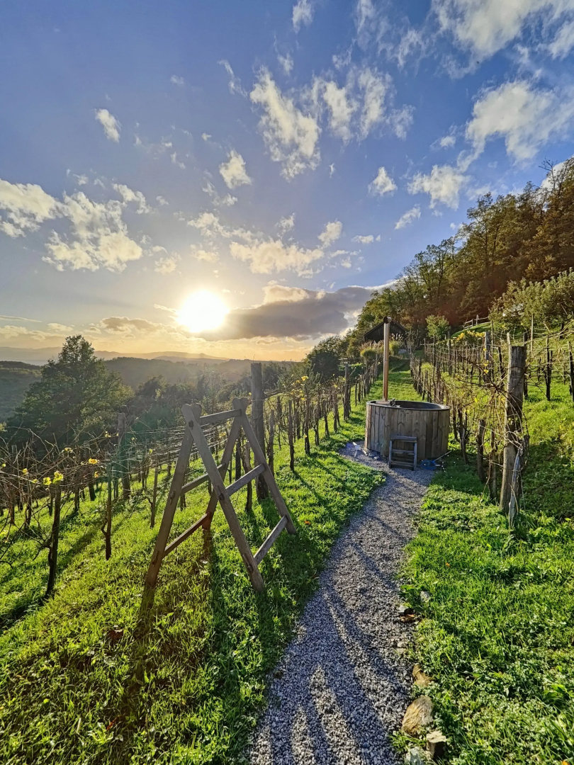 Vineyard cottage Škatlar 3