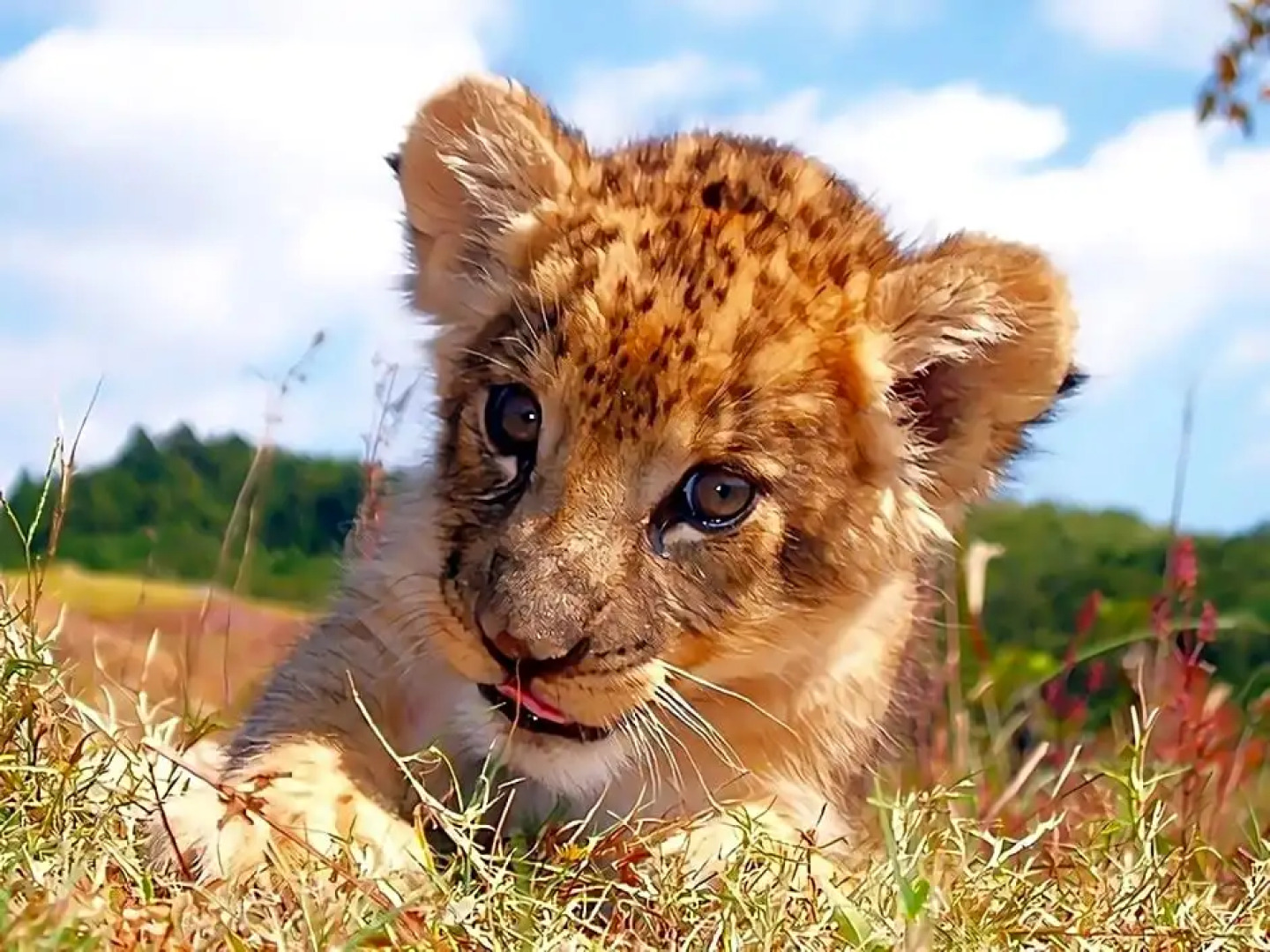 Tokyo Dai-Ichi Hotel Shimonoseki