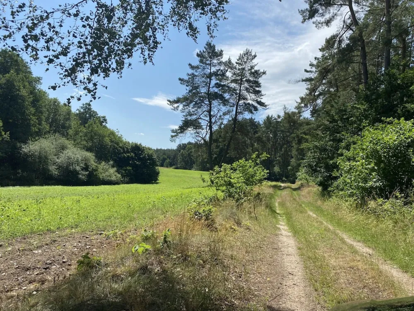 Ferienhaus in Neu Poserin for 5 Personen
