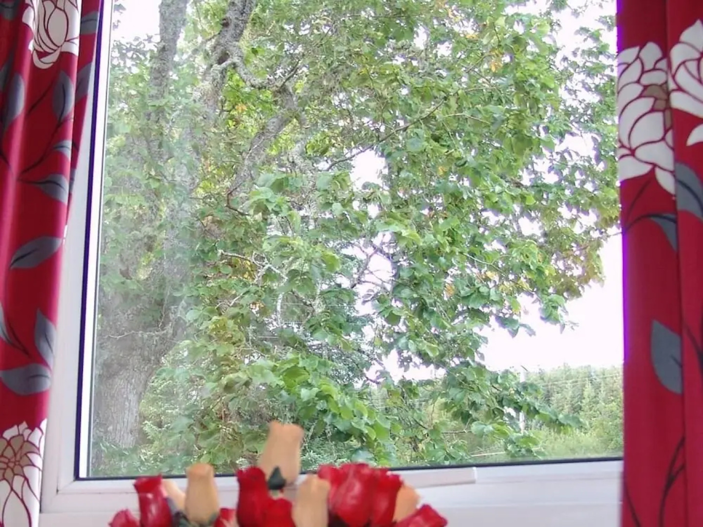 The Overscaig House Hotel