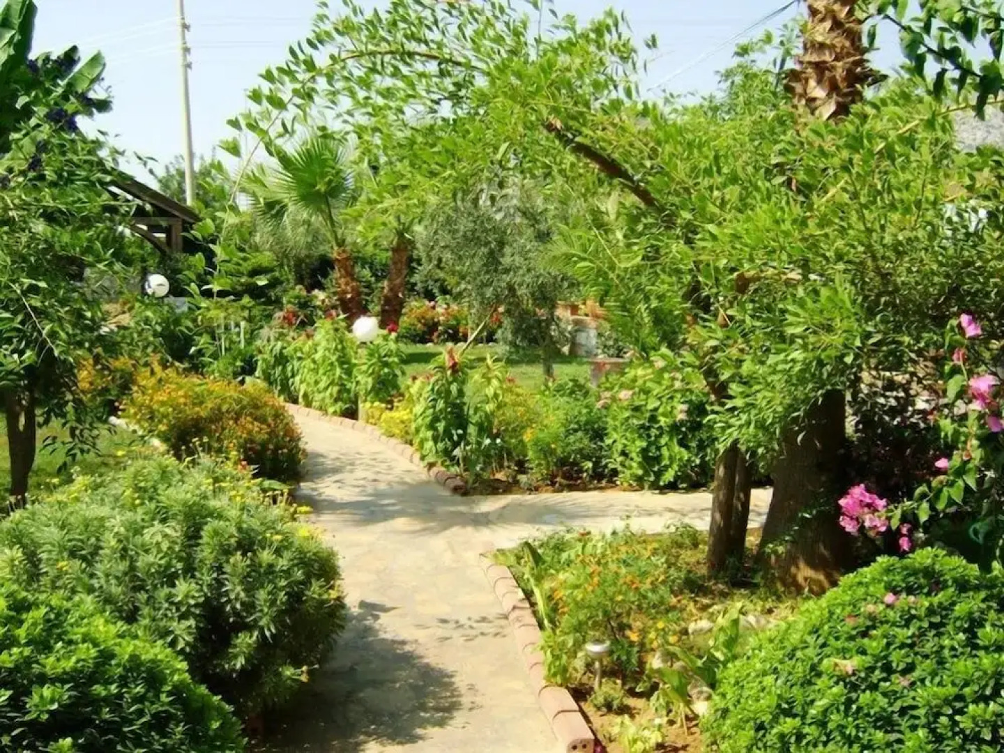 Milkyway Apart & Hotels