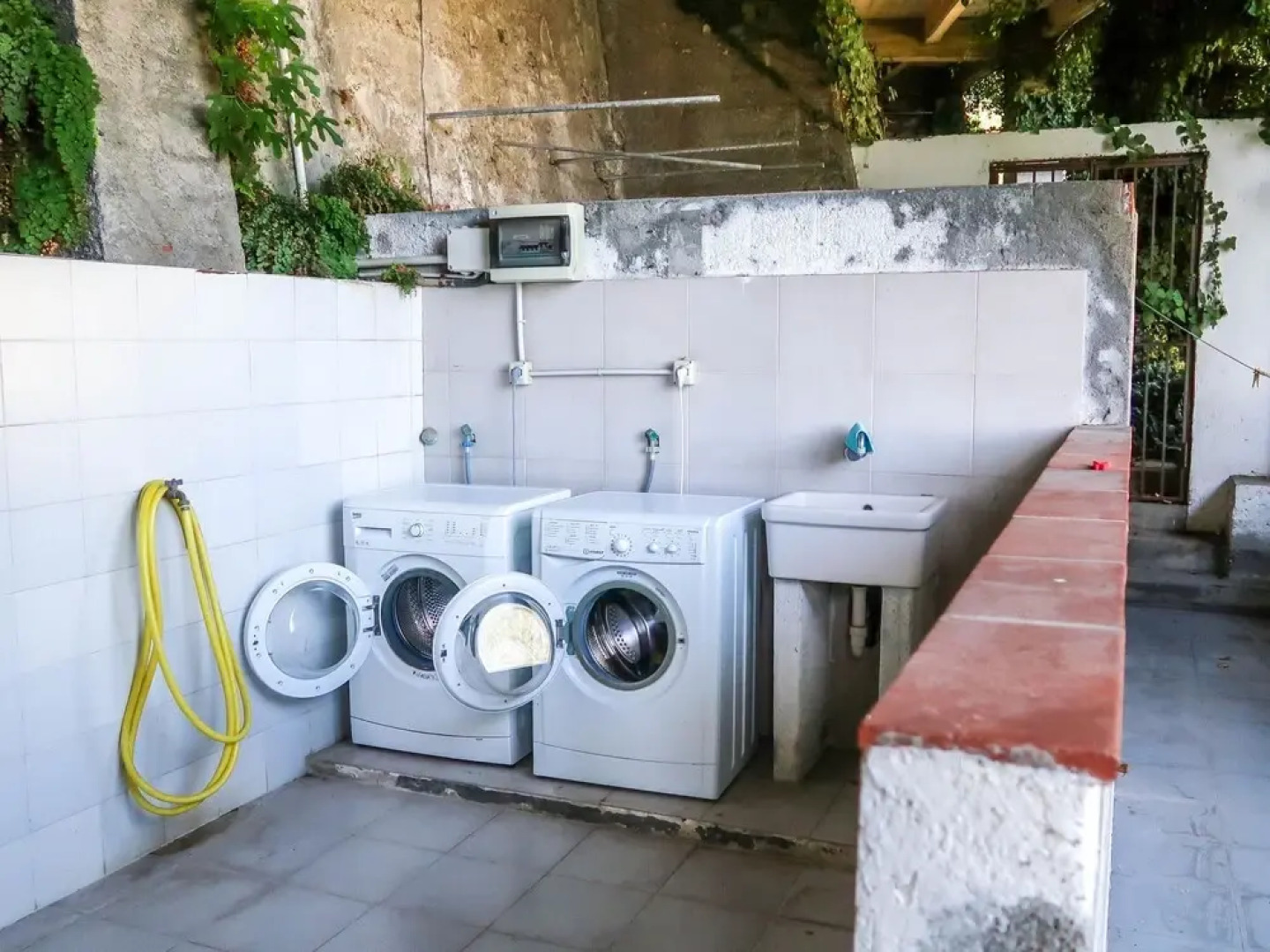 Paradise View Latte in Latte