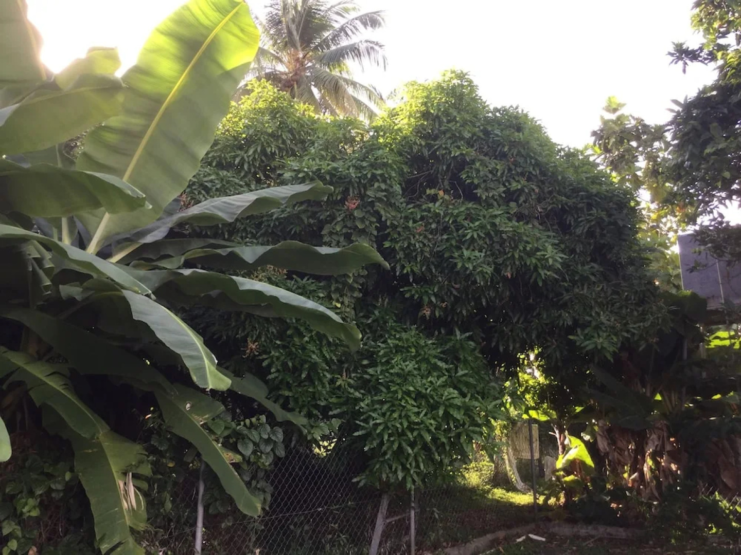 Lorna Cottage Sandy Point