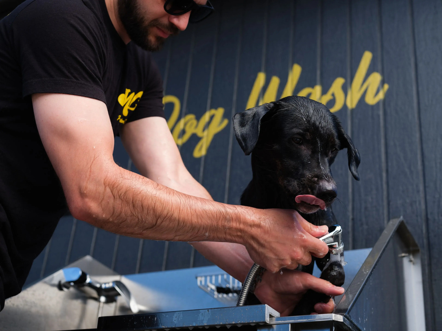 Rodeway Inn & Suites