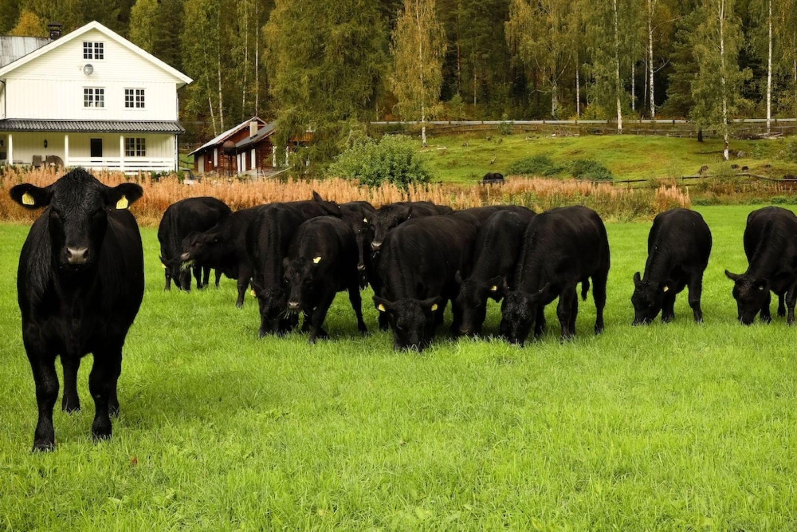 Piltingsrud gardshotel