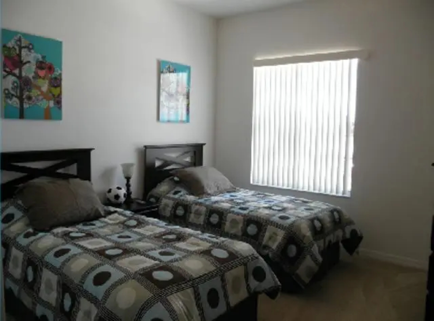 Haines City Shine Florida