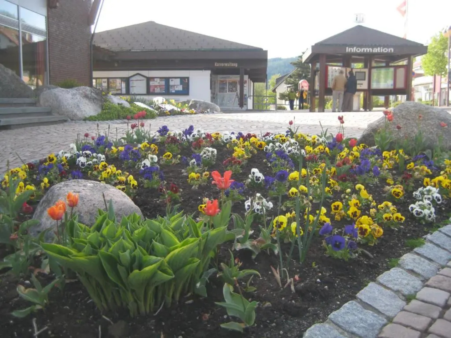 Apartment Eisenhauer in Schluchsee