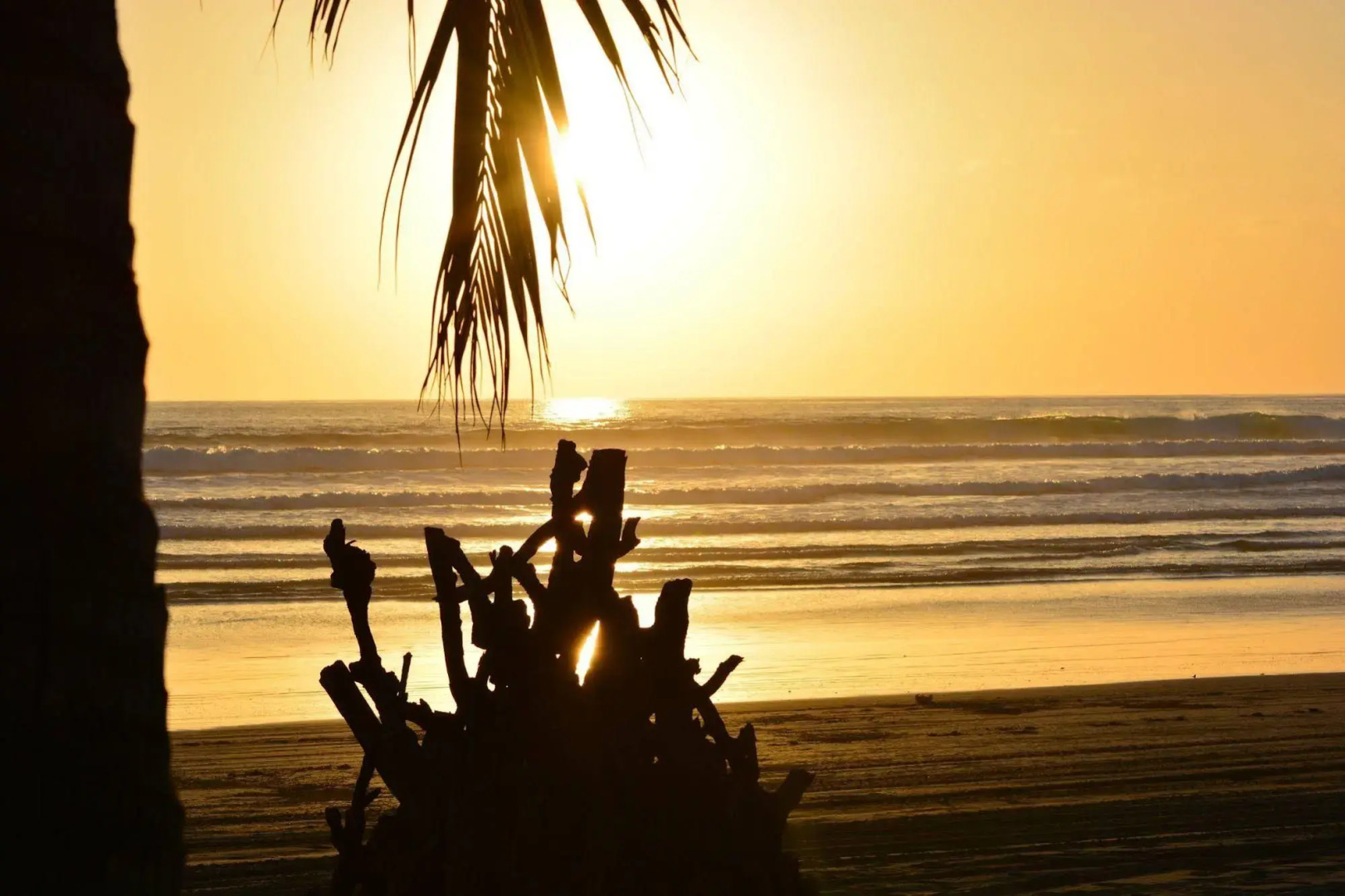 Zen Spirit Yoga Resort