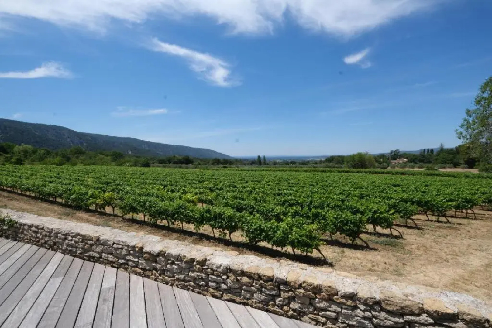 Charming vacation rental with a swimming pool in the heart of Luberon Natural Park,13 people LS2-306 ANDOURETO