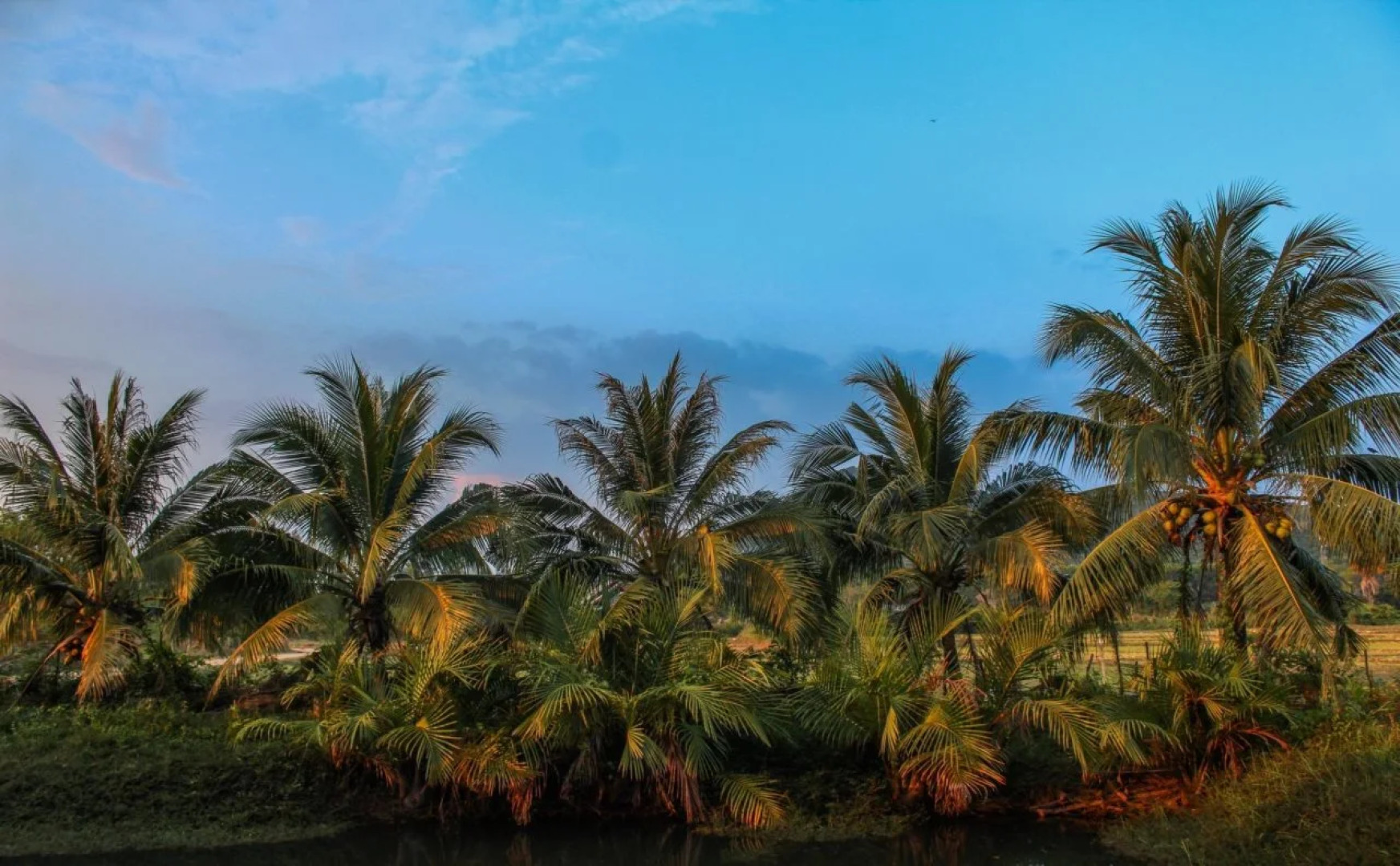 The Simple Koh Yao Noi