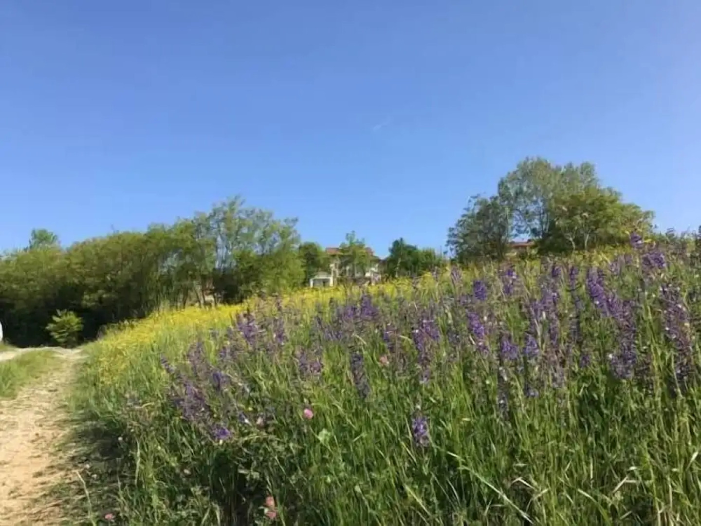 La Casa Blu Bed & Breakfast