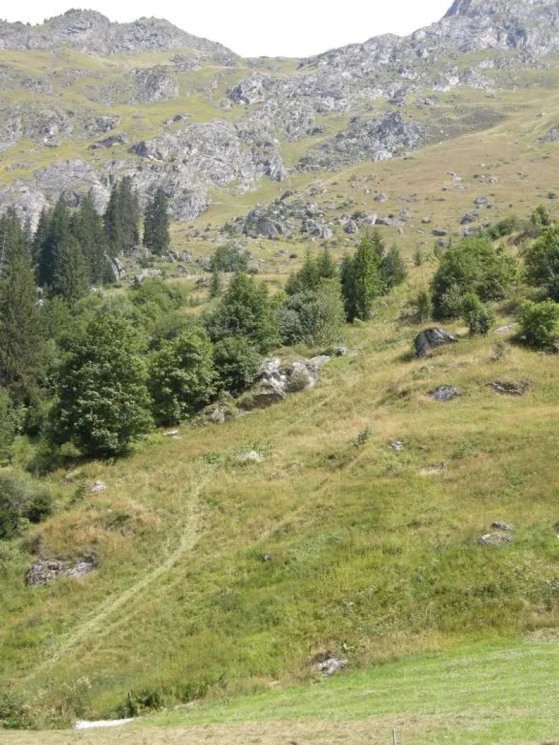 Gîte Les Grands Champs