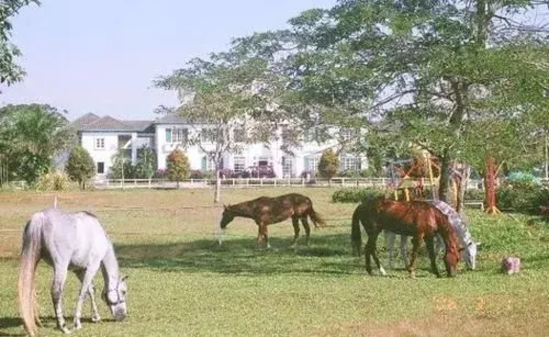 Riders Resort Kulai