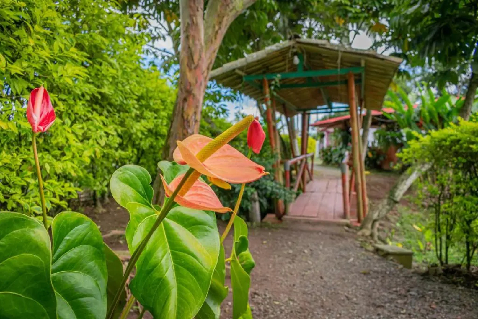 Finca Hotel El Tizon