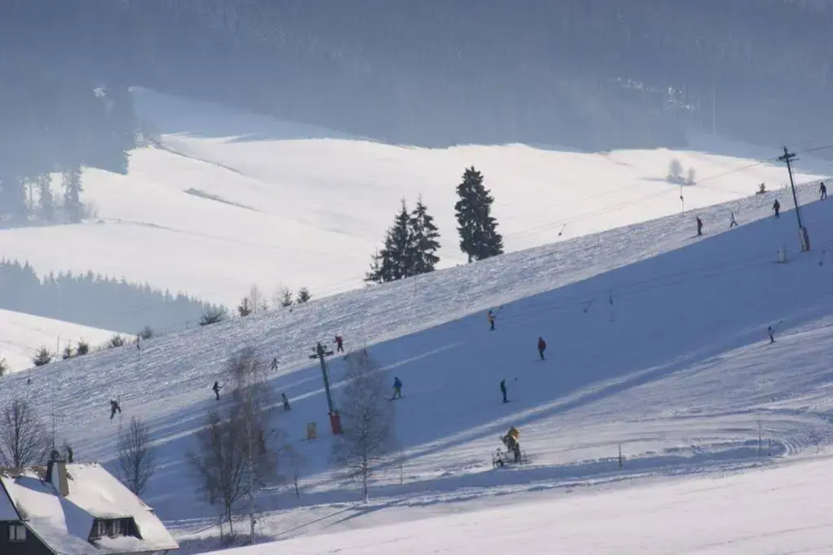 Hotel Schwarzwaldgasthof Zur Traube