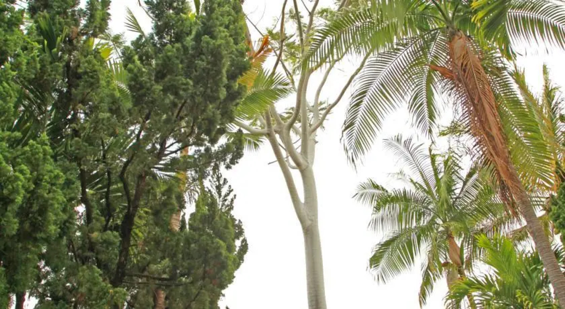 Green Lions Vacation Rental