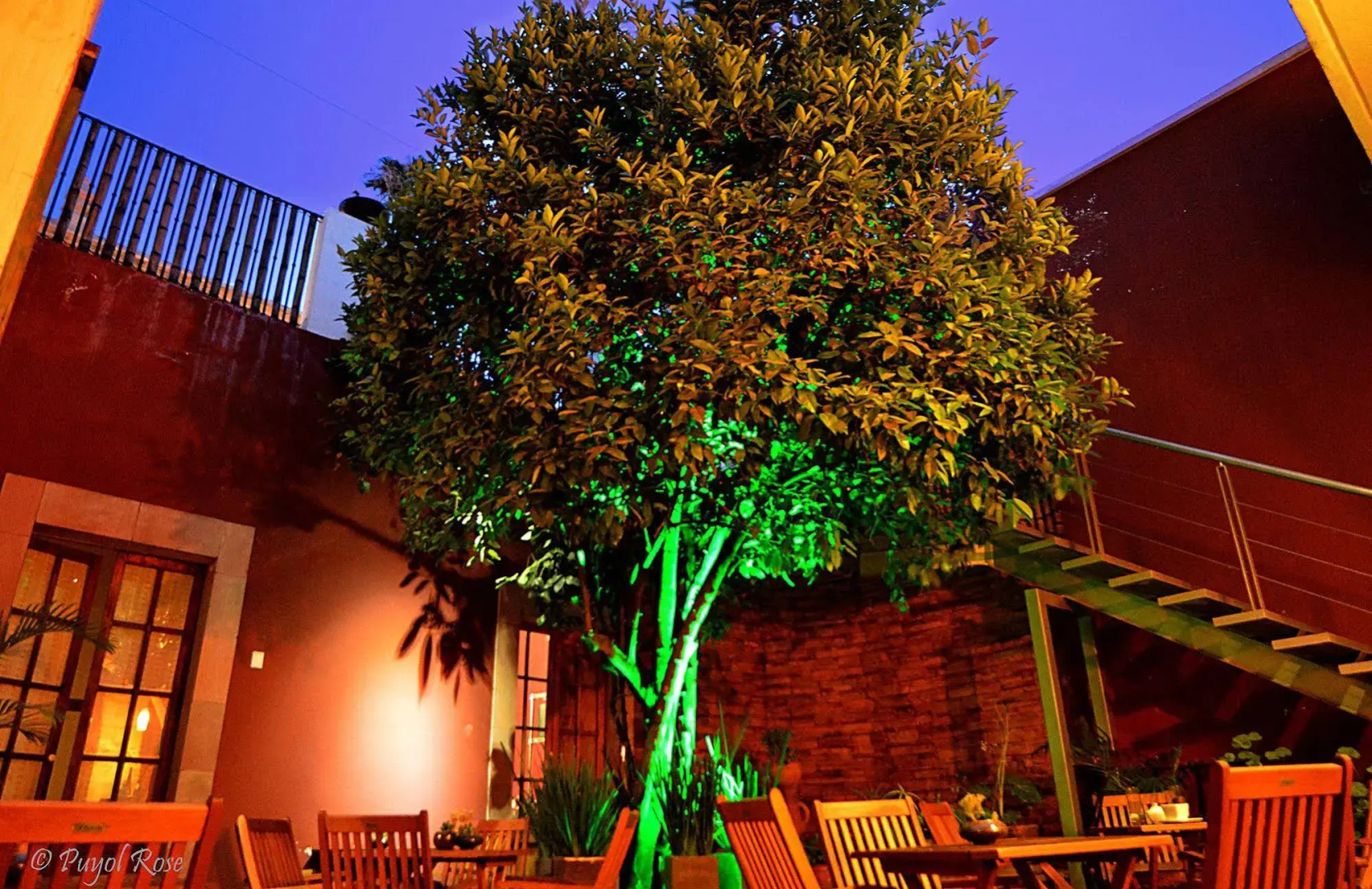 Hotel Boutique La Casa del Naranjo