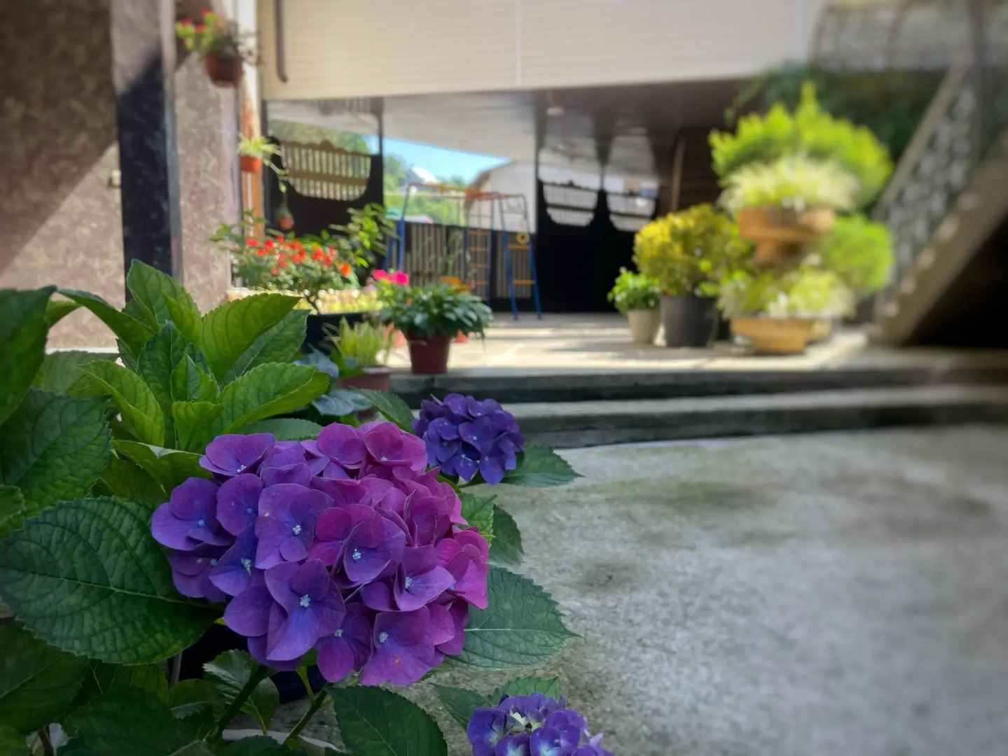 Аллегро Хоум