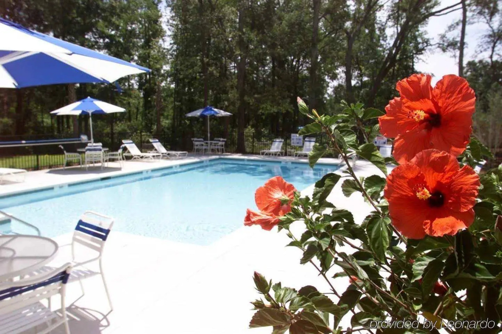 Hampton Inn Charleston - Daniel Island