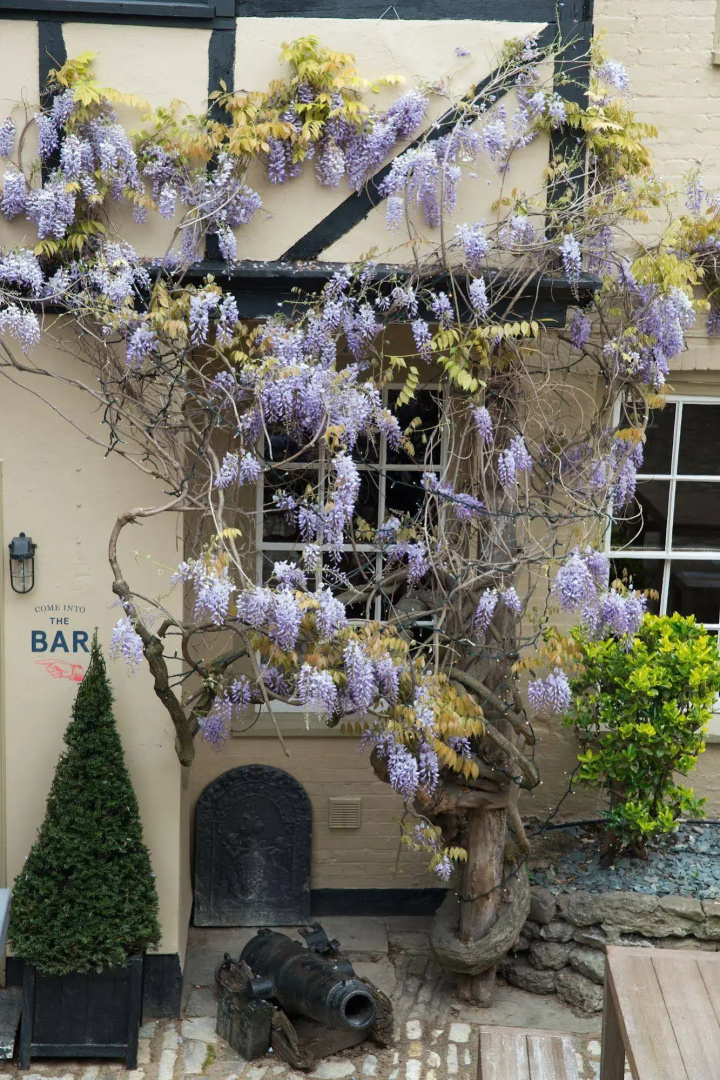 The Crown & Thistle