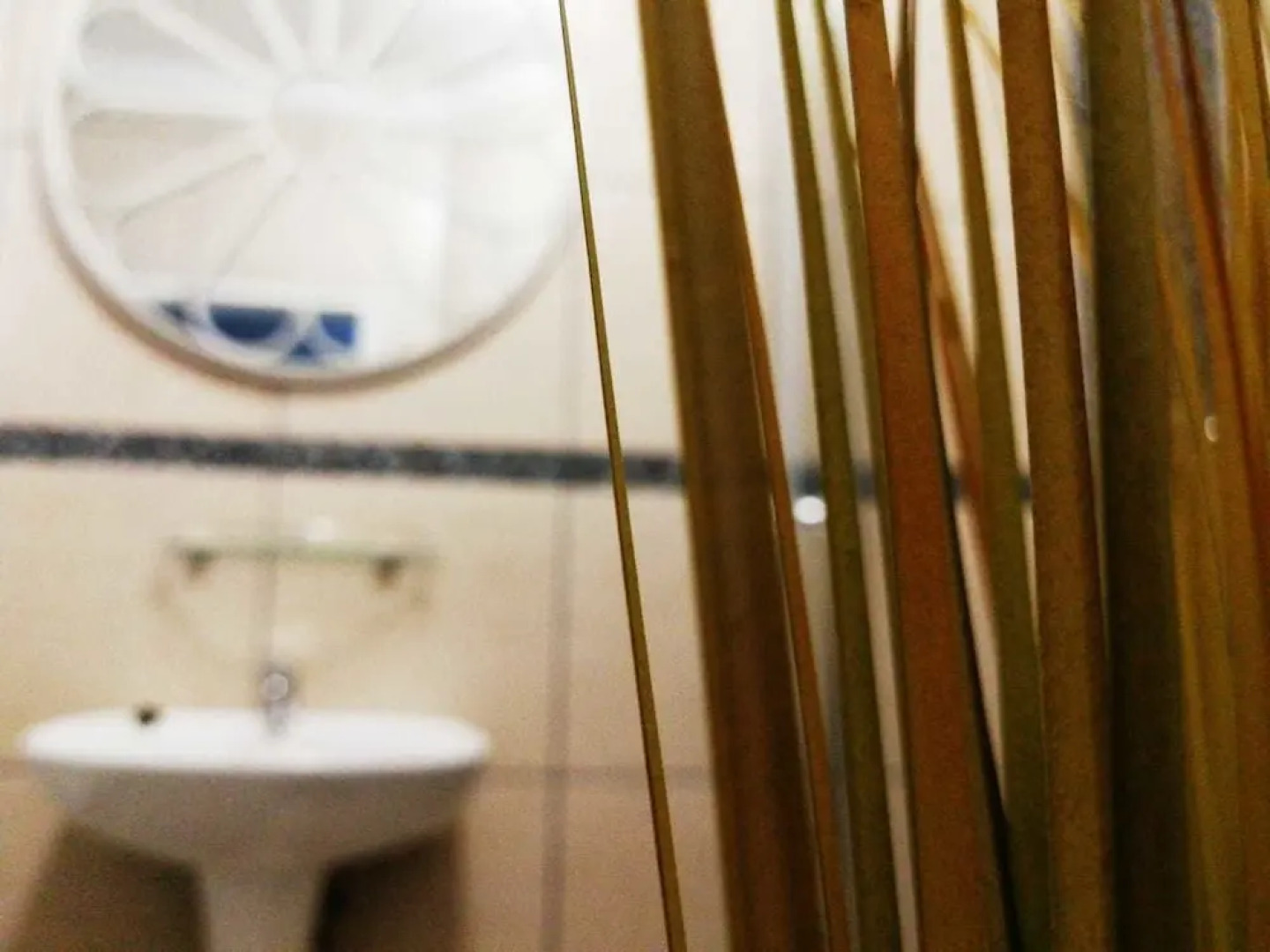 Willow Manor Brits Guest House