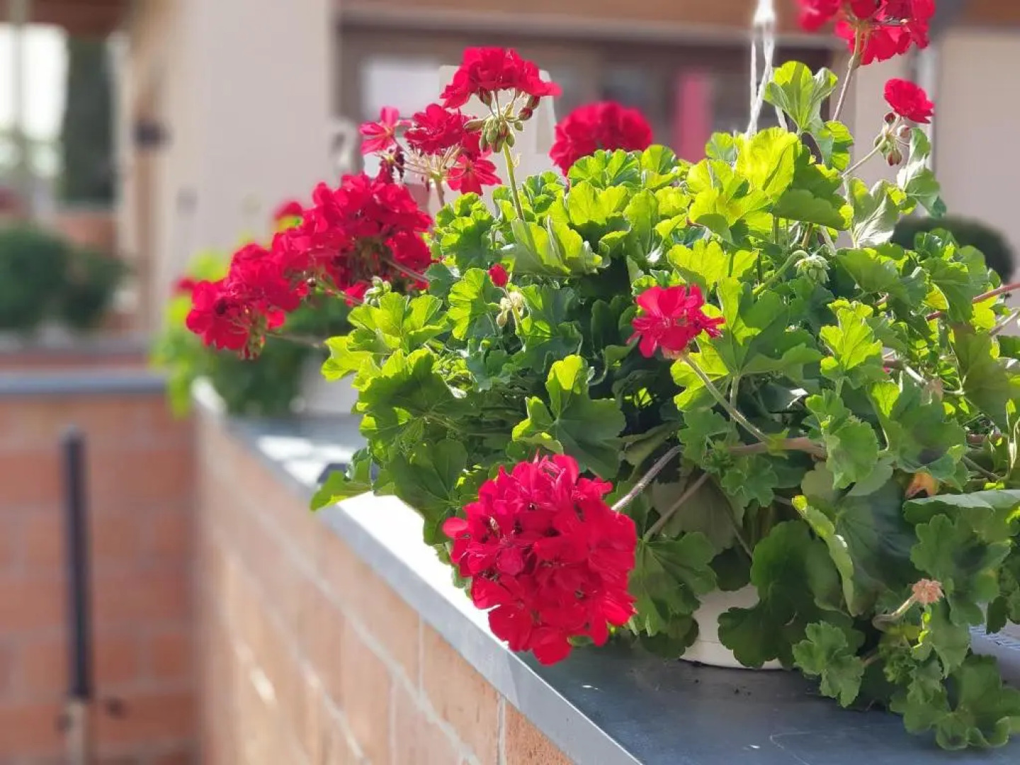 Bükkös Hotel & Spa