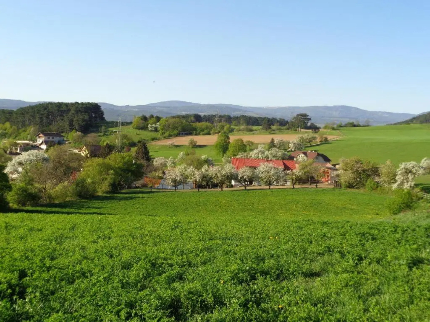 Apartments Himmelreich