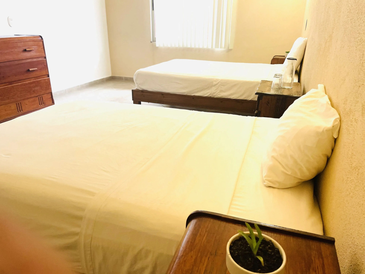 Suite Agaves in Todos Santos