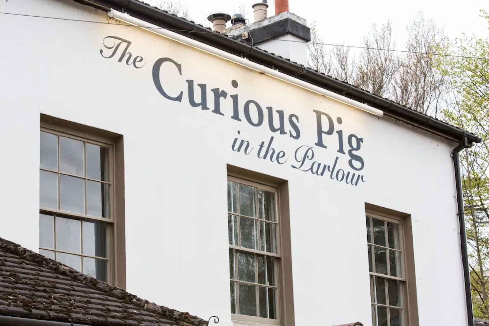 The Curious Pig in the Parlour