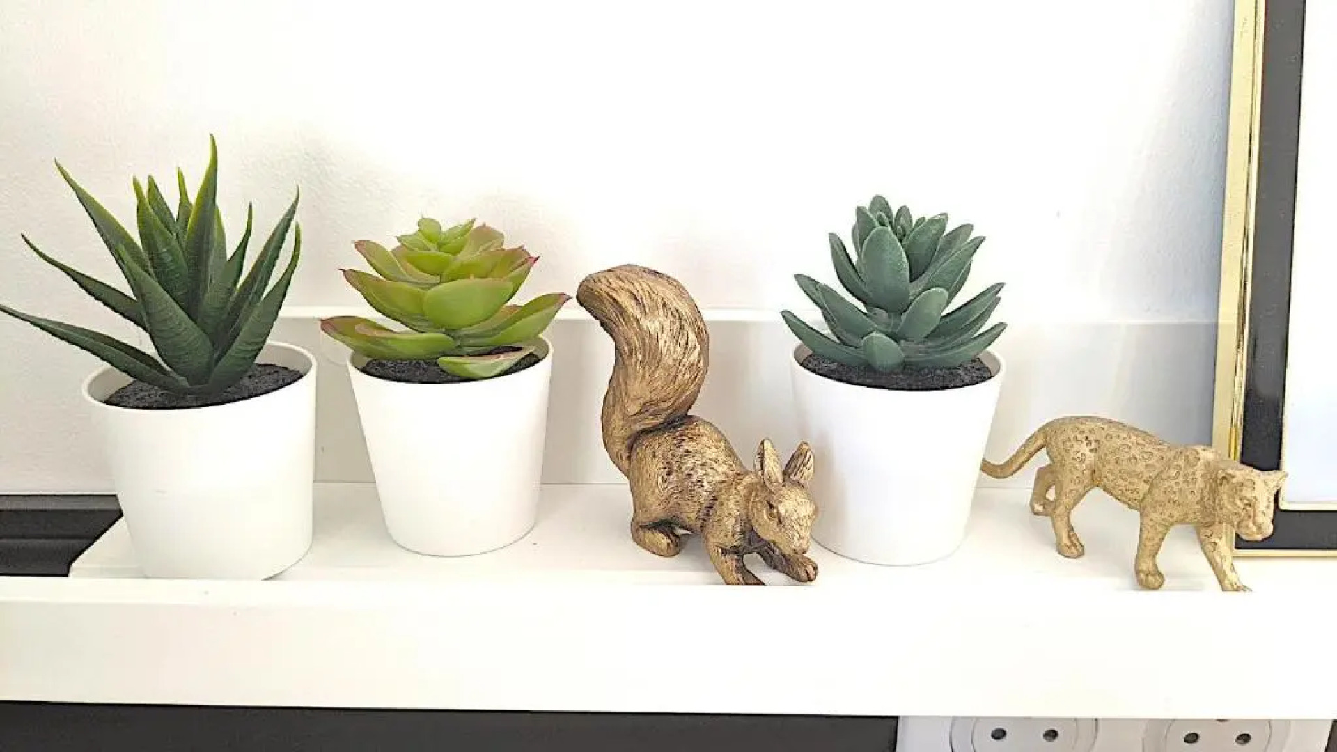 Rêves Paisibles Onyx - Choisy