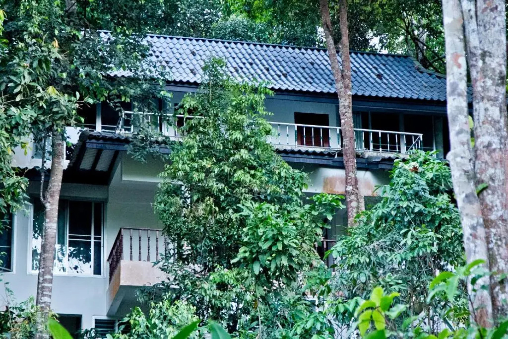 Chestnut Hill Eco Resort