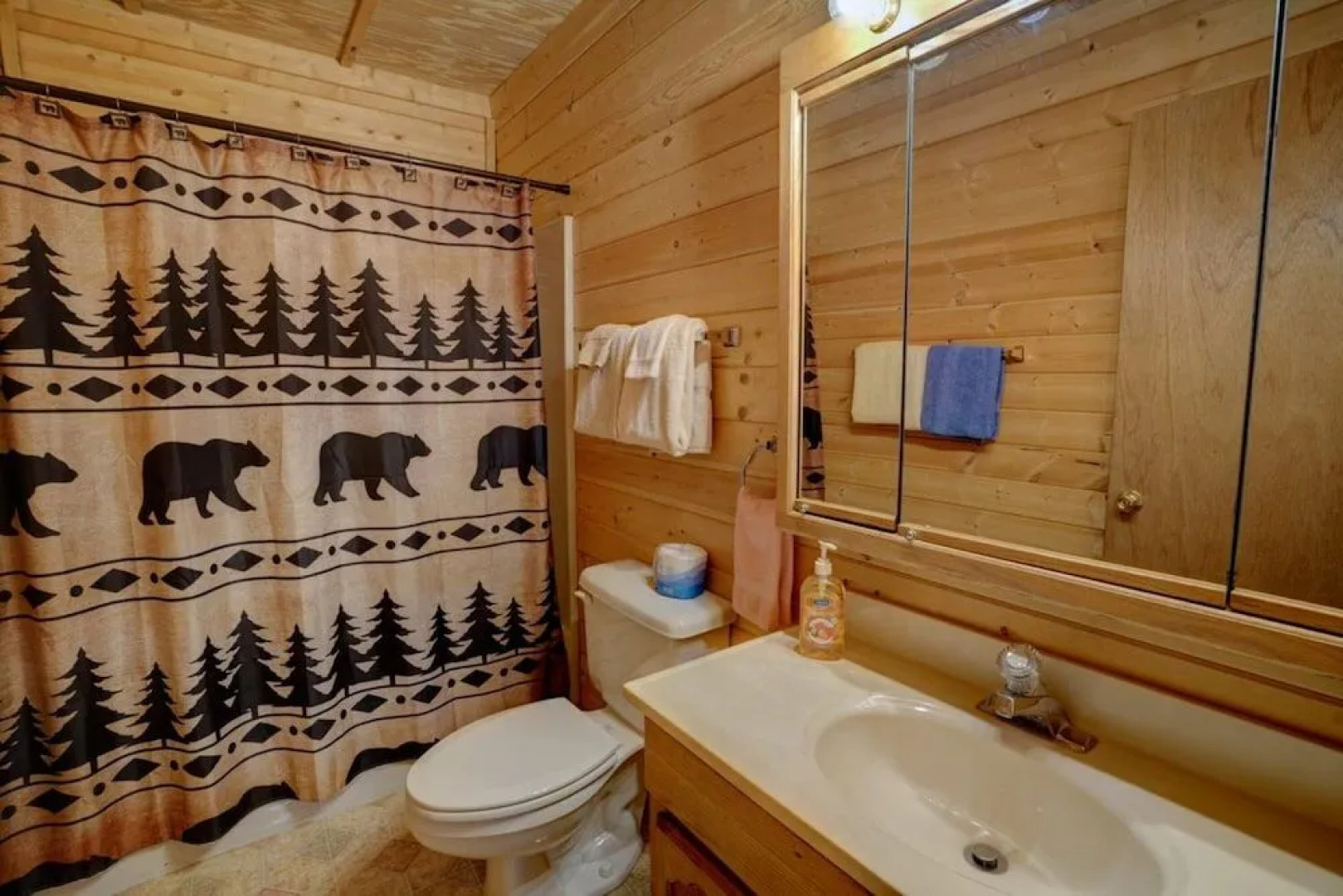 Amazing Adventure Cabin